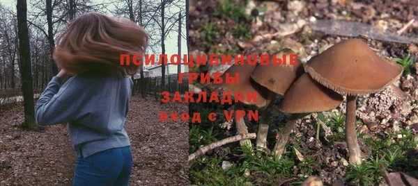 ешки Алексеевка