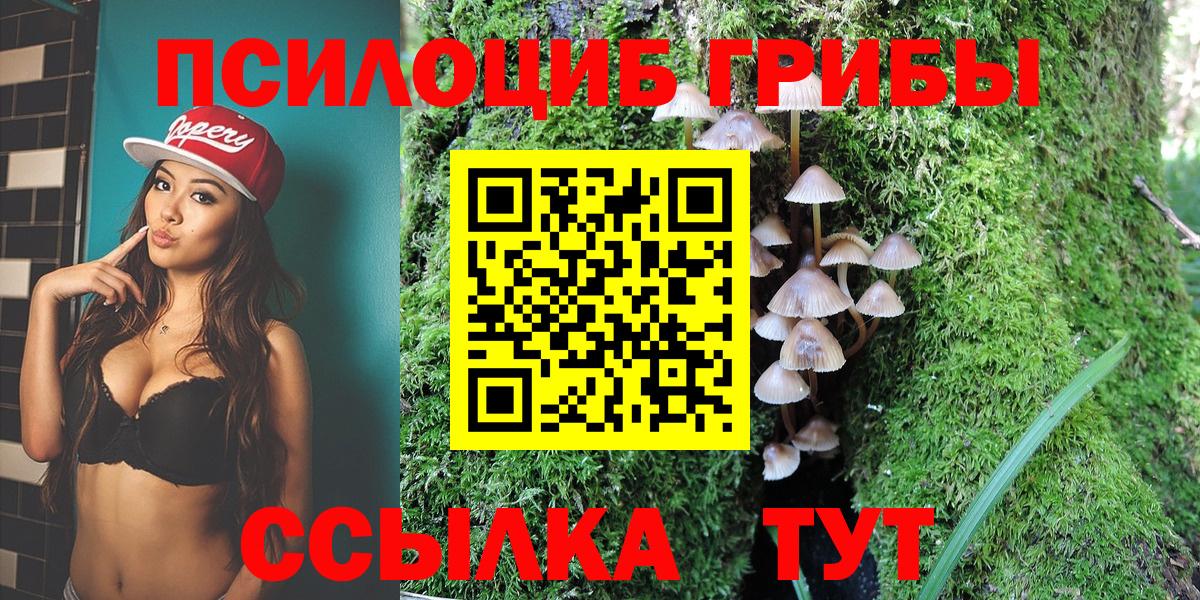 Галлюциногенные грибы Psilocybe Тюмень