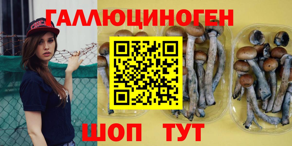 Псилоцибиновые грибы мицелий  Вход с VPN  Тюмень 